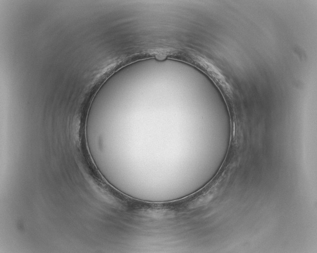 X0000116030201200912041941