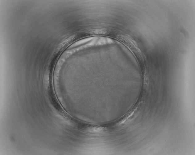 X0000116030202200912041941