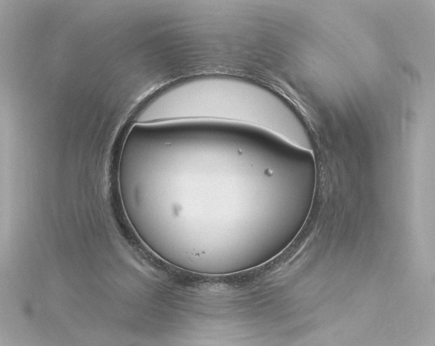 X0000116030203200912041941