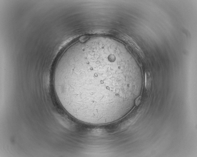 X0000116030204200912041941