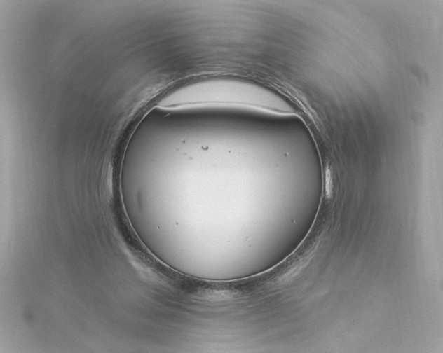 X0000116030205200912041941