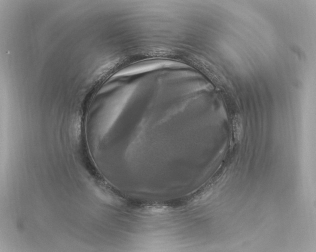 X0000116030206200912041941