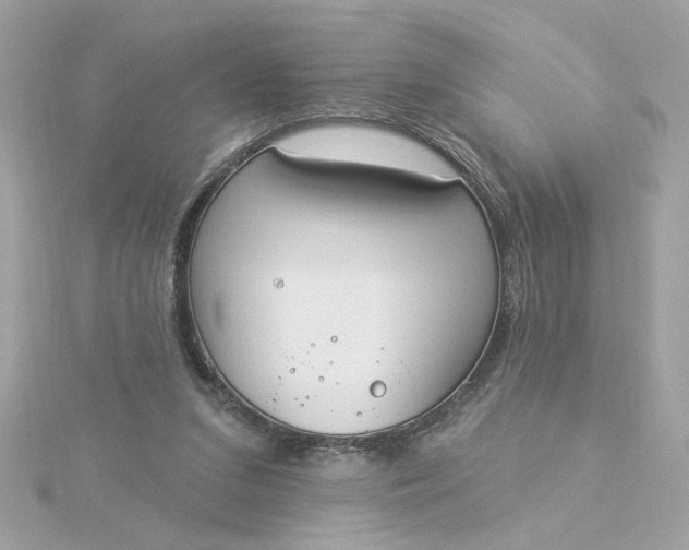 X0000116030207200912041941