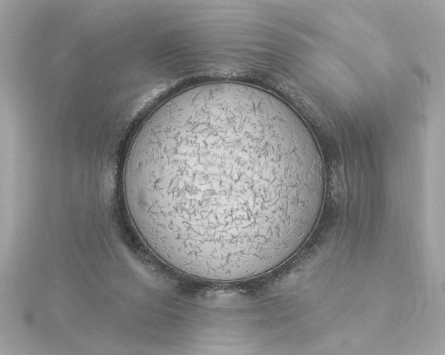 X0000116030208200912041941