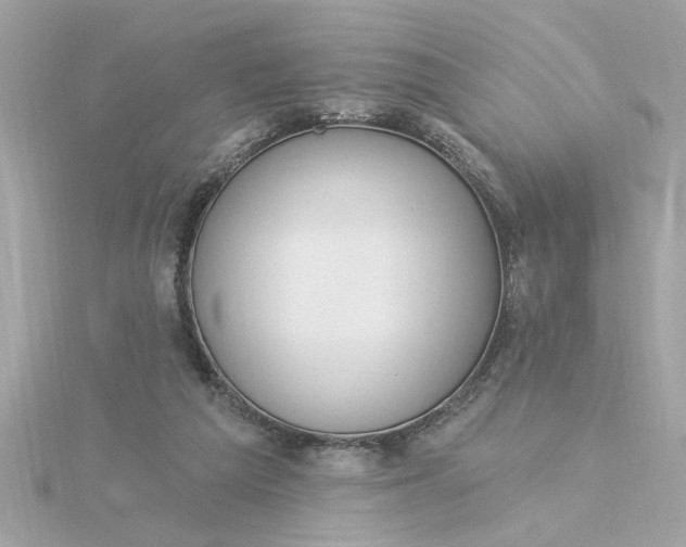 X0000116030209200912041941