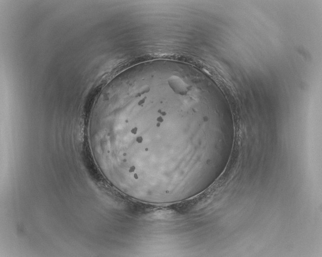 X0000116030210200912041941