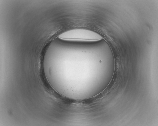 X0000116030211200912041941