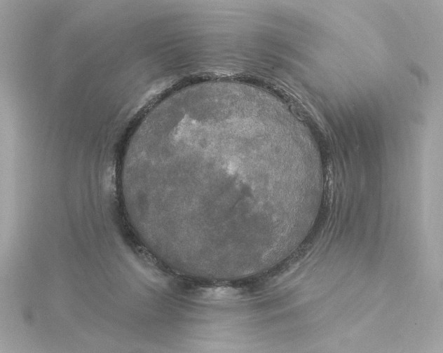 X0000116030212200912041941