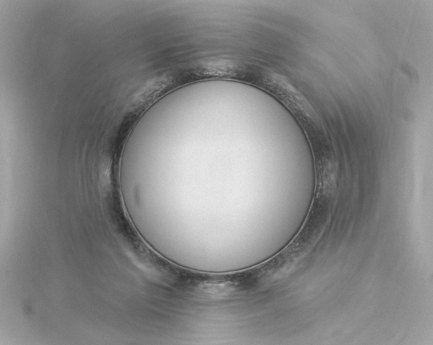 X0000116030213200912041941