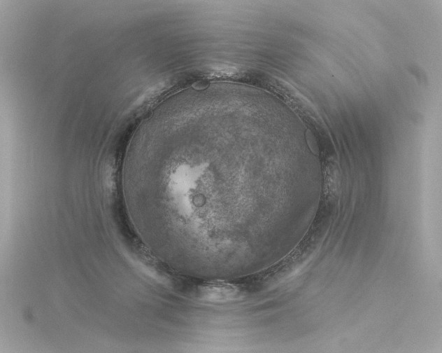 X0000116030215200912041941