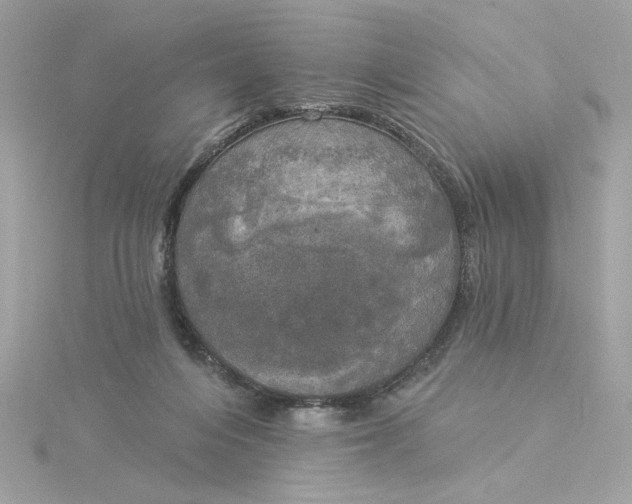 X0000116030216200912041941