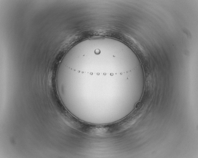 X0000116030217200912041941