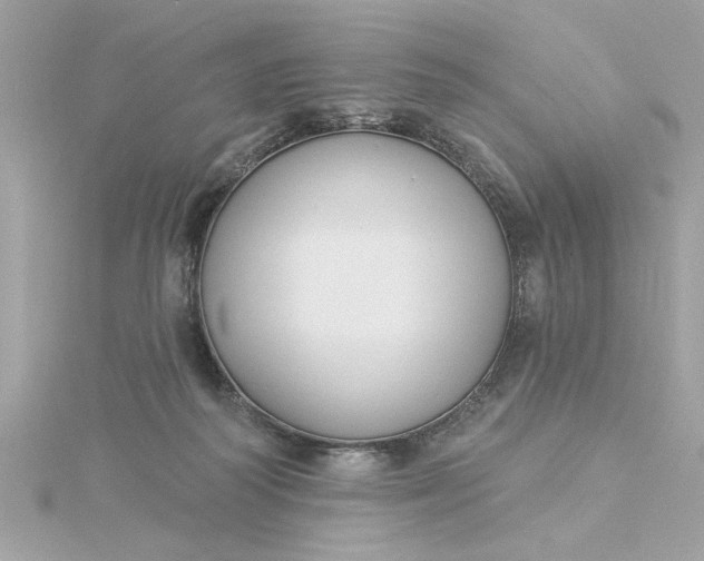 X0000116030218200912041941