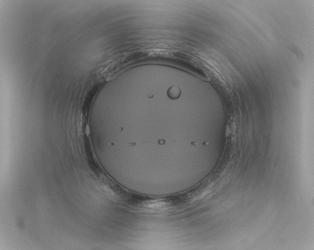 X0000116030219200912041941