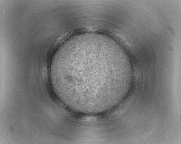 X0000116030220200912041941