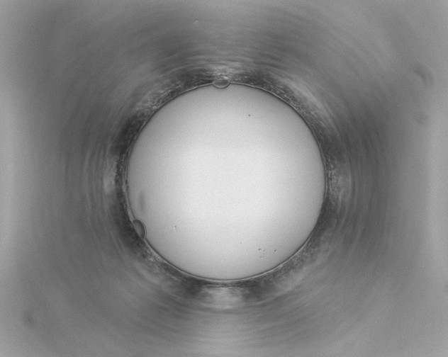 X0000116030221200912041941