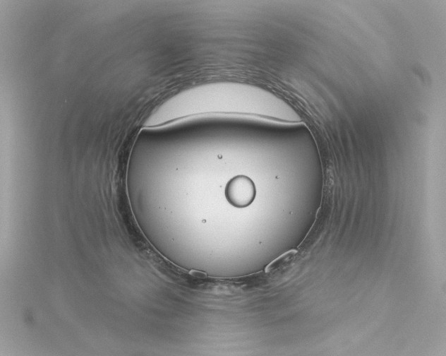 X0000116030223200912041941