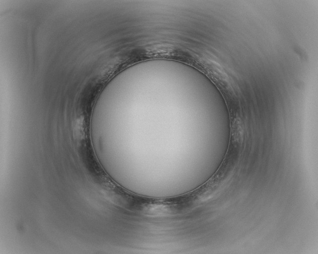 X0000116030224200912041941