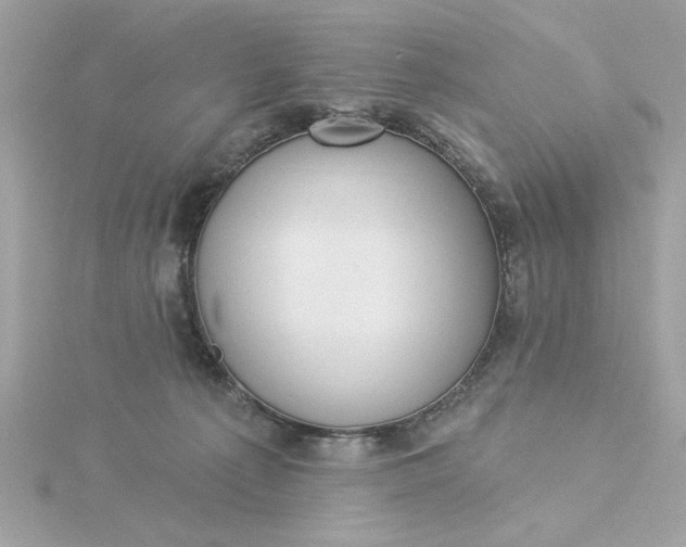 X0000116030225200912041941