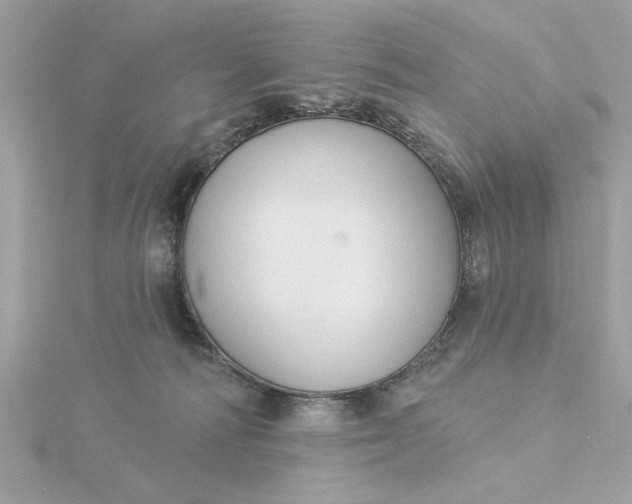 X0000116030226200912041941