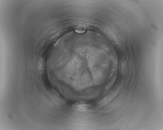 X0000116030228200912041941