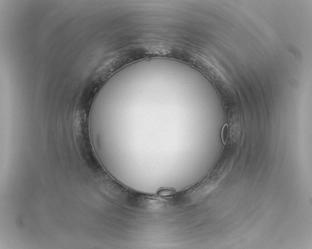 X0000116030229200912041941