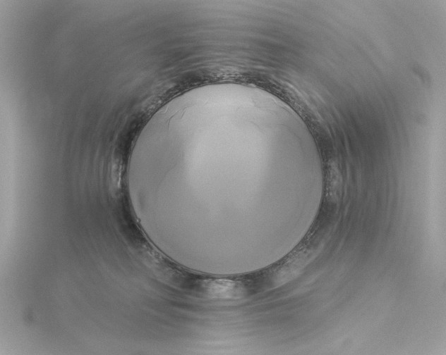 X0000116030230200912041941