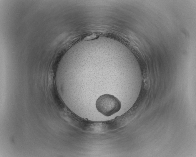 X0000116030231200912041941