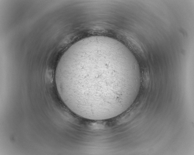 X0000116030232200912041941