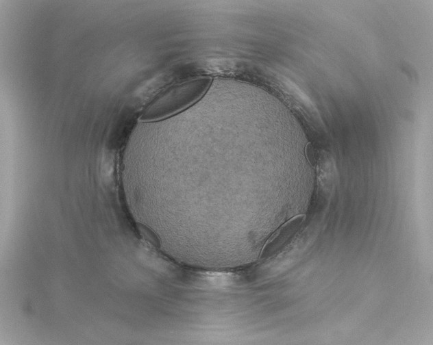 X0000116030233200912041941