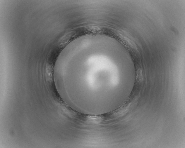 X0000116030234200912041941