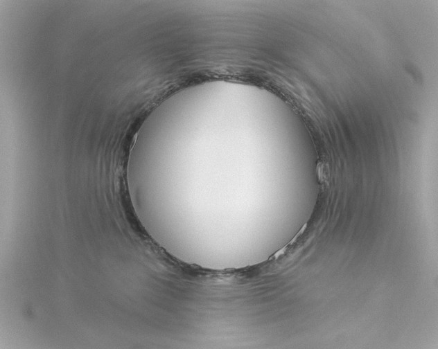 X0000116030235200912041941