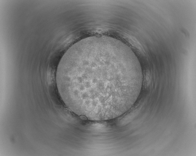 X0000116030236200912041941