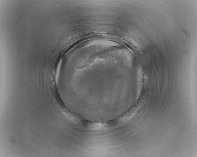 X0000116030237200912041941