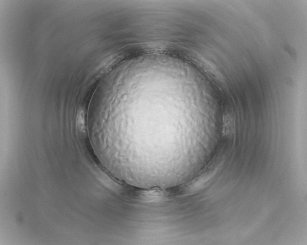 X0000116030238200912041941