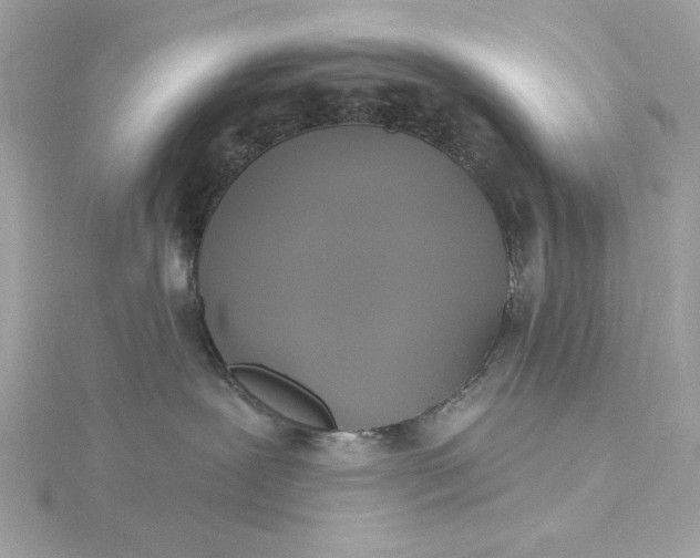 X0000116030239200912041941