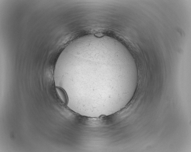 X0000116030240200912041941