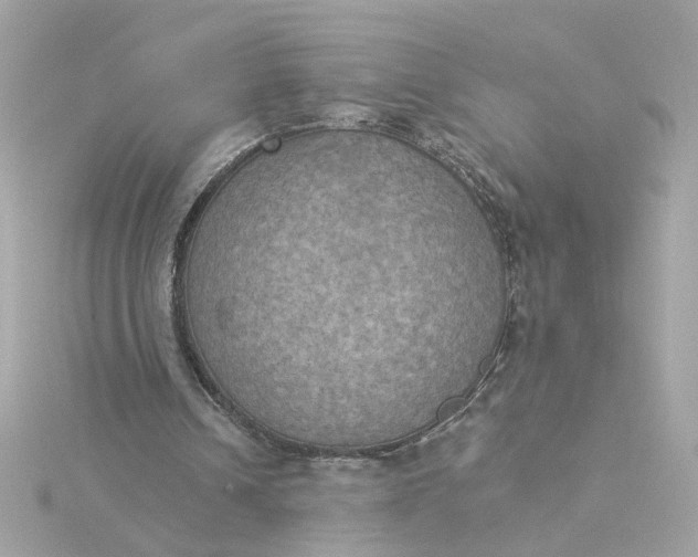 X0000116030242200912041940