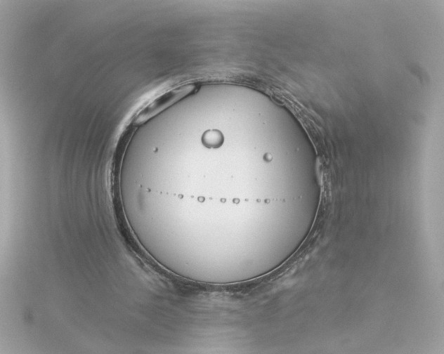 X0000116030244200912041940