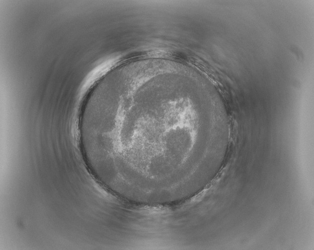 X0000116030245200912041940