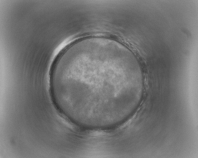 X0000116030246200912041940