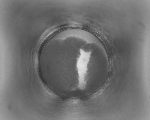 X0000116030247200912041940