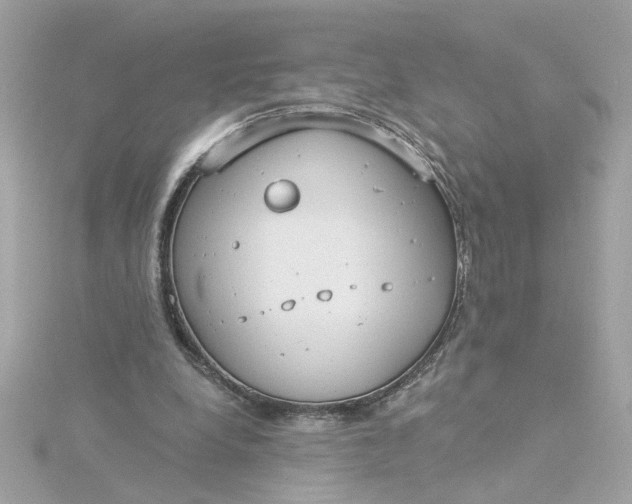 X0000116030248200912041940