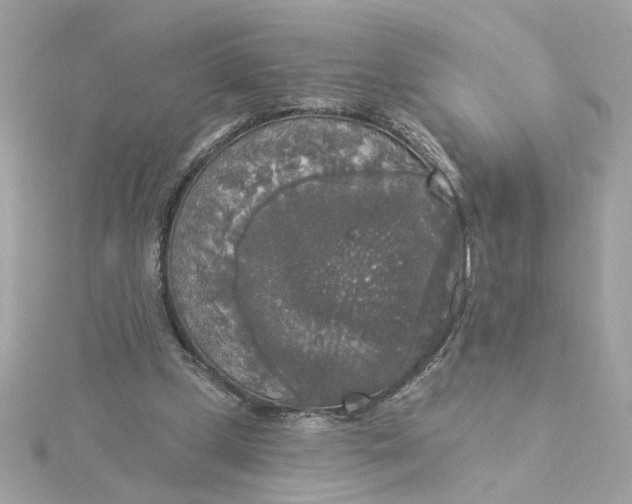 X0000116030249200912041940