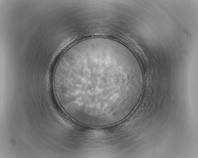 X0000116030250200912041940