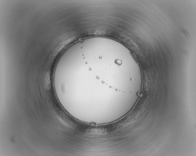 X0000116030251200912041941