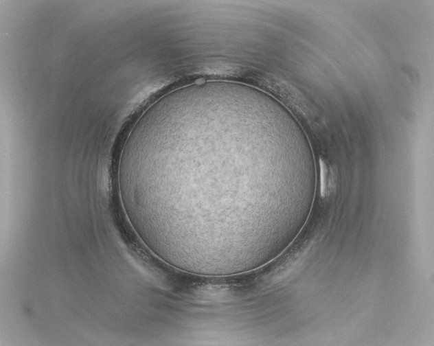 X0000116030252200912041941