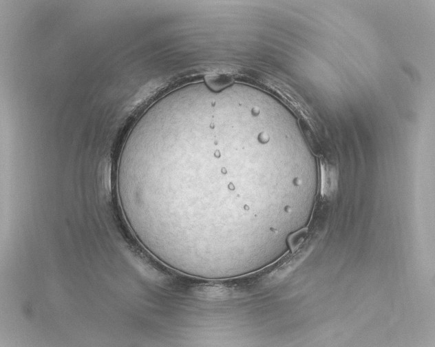 X0000116030253200912041941