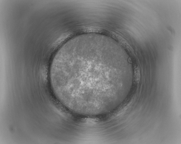 X0000116030255200912041941