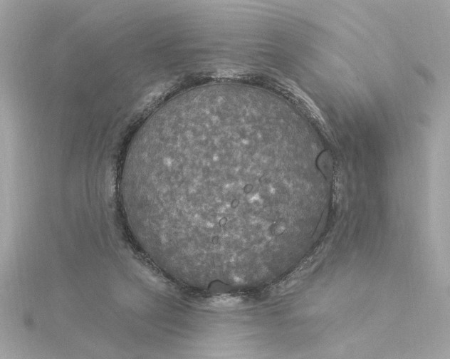 X0000116030257200912041941